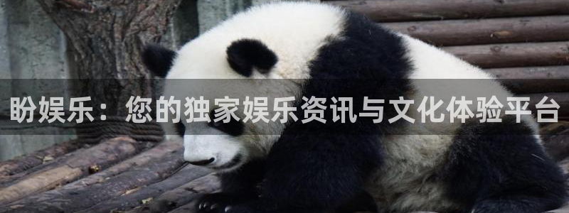 888贵宾会官网：盼娱乐：您的独家娱乐资讯与文化体验平台