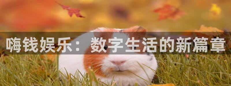 888贵宾会官网：嗨钱娱乐：数字生活的新篇章