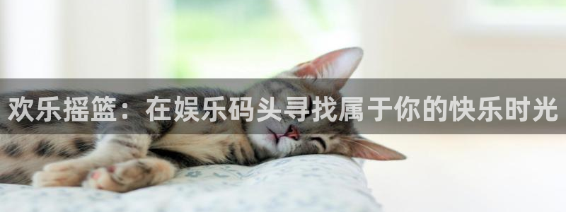 888贵宾会官网：欢乐摇篮：在娱乐码头寻找属于你的快乐时光