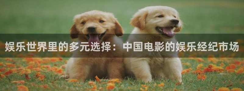 888贵宾会官网：娱乐世界里的多元选择：中国电影的娱乐经纪市场